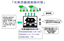 �V���S�΋�y���̉�