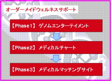 �I�[�_�[���C�h�E�F���l�X�T�|�[�g