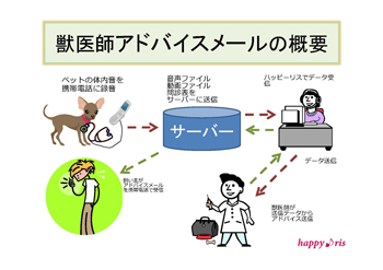 �b��t�A�h�o�C�X���[��