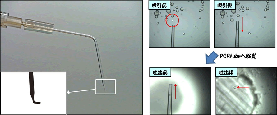 平藤 衛｜第94回受賞者