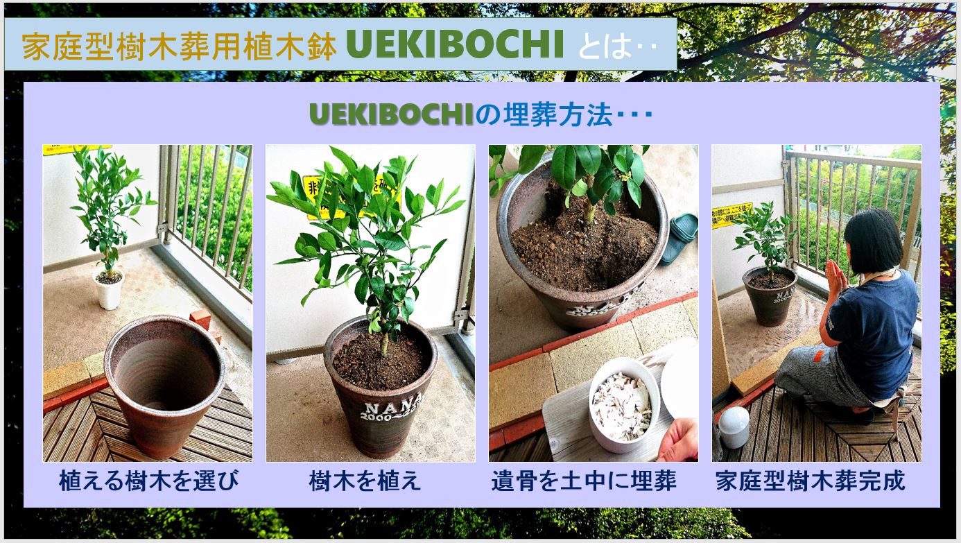 株式会社ベイビーユニバース 代表取締役 小松 和徳|第114回受賞者