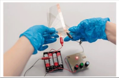 ファイルのサムネイル画像です