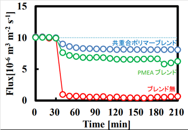 ファイルのサムネイル画像です
