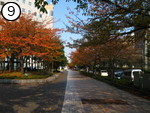 JR川崎駅中央口道順9