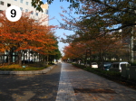 京急川崎駅道順9