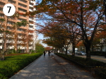 JR川崎駅北口道順7